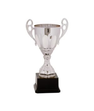 Trophies - Cup
